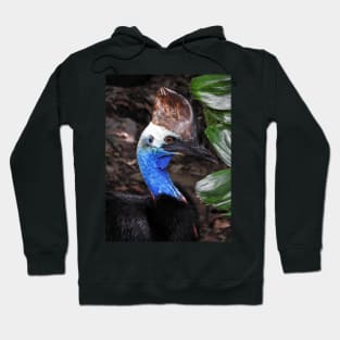 Southern Cassowary Hoodie